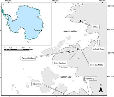 Diversity, Abundance, Spatial Variation, and Human Impacts in Marine Meiobenthic Nematode and Copepod Communities at Casey Station, East Antarctica